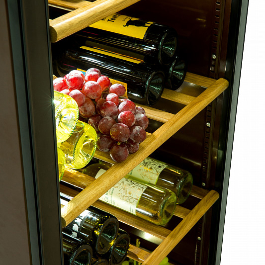 Шкаф холодильный Polair DW104-Bravo для вина