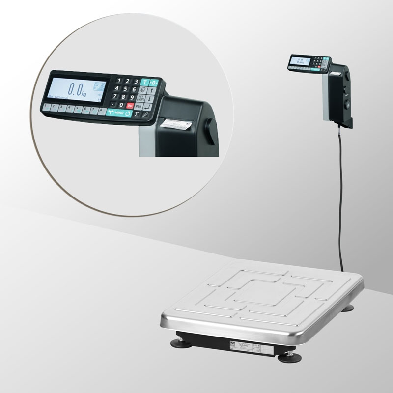 Весы Масса-К TB-S-200.2-RL1 с печатью этикеток и регистрацией товароучетных операций